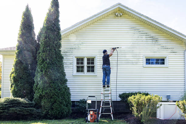 Professional Pressure Washing Services in Nicholasville, KY